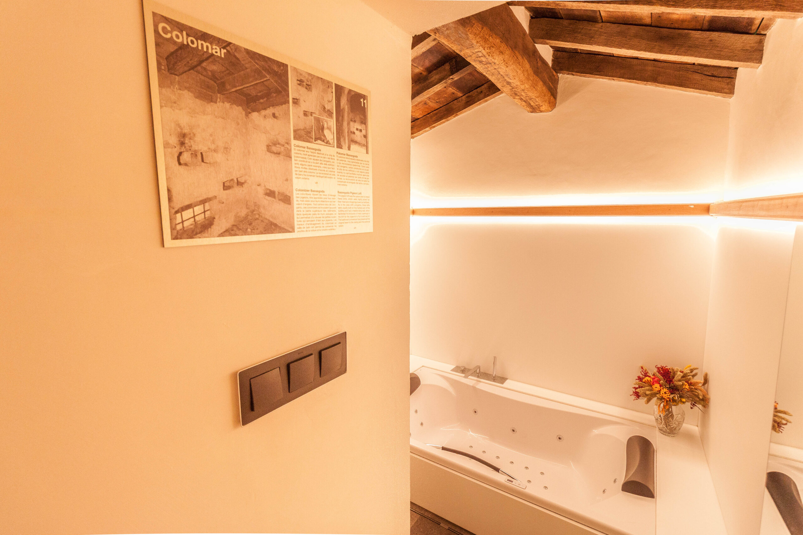Junior Suite Bassegoda