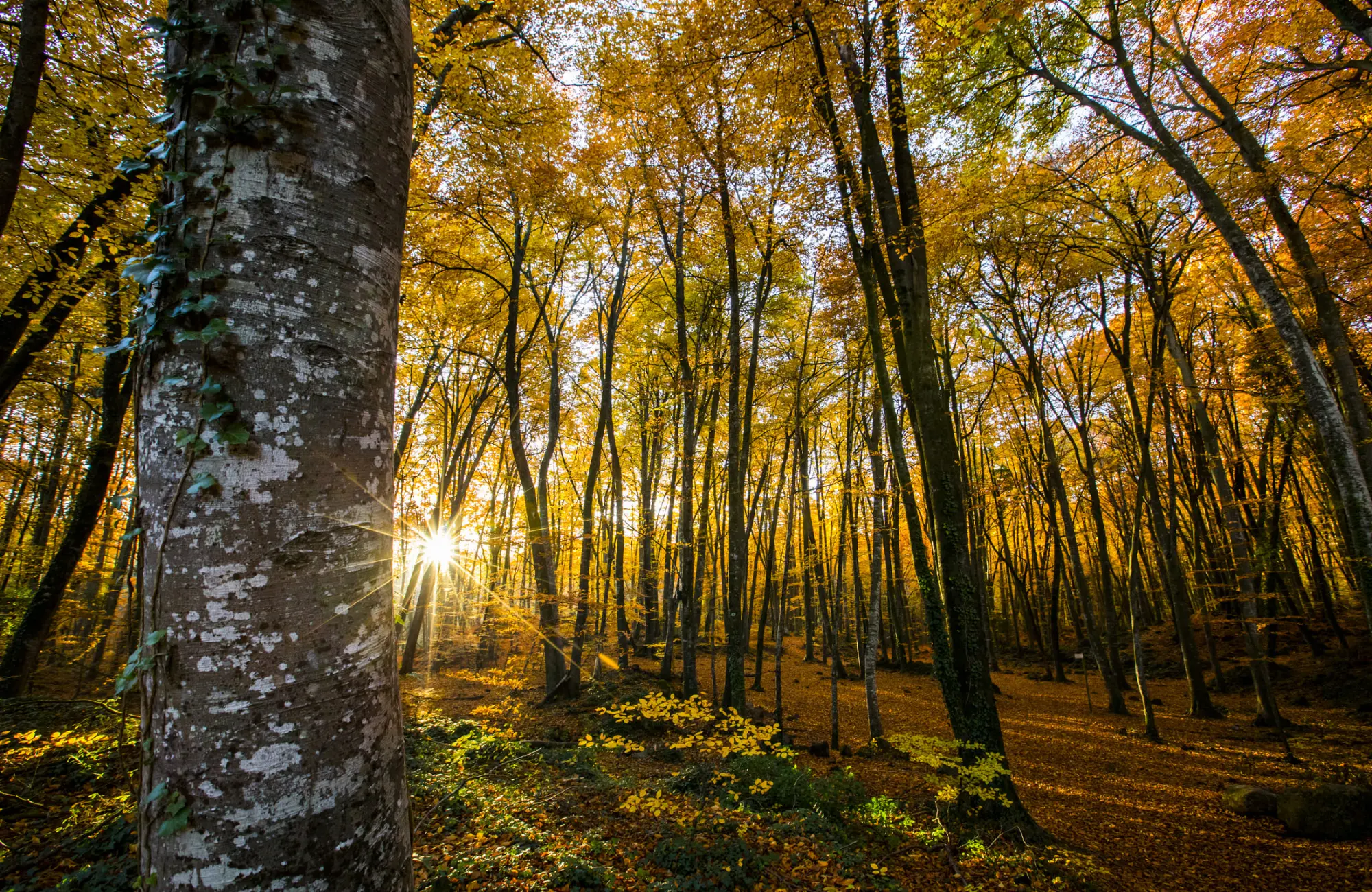 iStock-2199151153